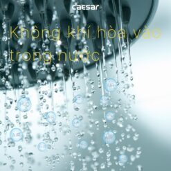 Bộ sen tắm cây nhiệt độ Caesar S788C