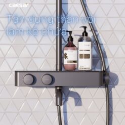 Bộ sen tắm cây nhiệt độ Caesar S788CB