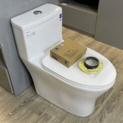 Bồn cầu 1 khối nắp êm Viglacera V803 (+ vòi xịt VG826)