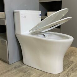 Bồn cầu 1 khối nắp êm Viglacera V803 (+ vòi xịt VG826)