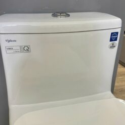 Bồn cầu 1 khối nắp êm Viglacera V803 (+ vòi xịt VG826)