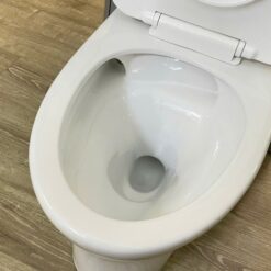 Bồn cầu 1 khối nắp êm Viglacera V803 (+ vòi xịt VG826)