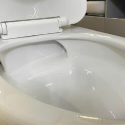 Bồn cầu 1 khối nắp êm Viglacera V803 (+ vòi xịt VG826)