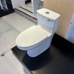 Bồn cầu 1 khối nắp êm Viglacera V819 (+ vòi xịt VG826)