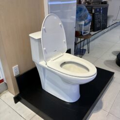 Bồn cầu 1 khối nắp êm Viglacera V819 (+ vòi xịt VG826)