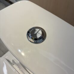 Bồn cầu 1 khối nắp êm Viglacera V819 (+ vòi xịt VG826)