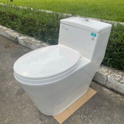 Bồn cầu 1 khối nắp êm Viglacera V823 (+ vòi xịt VG826)