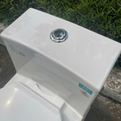 Bồn cầu 1 khối nắp êm Viglacera V823 (+ vòi xịt VG826)