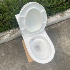 Bồn cầu 1 khối nắp êm Viglacera V823 (+ vòi xịt VG826)