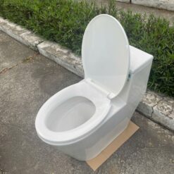 Bồn cầu 1 khối nắp êm Viglacera V823 (+ vòi xịt VG826)