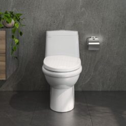 Bồn cầu 1 khối nắp êm Viglacera V825 (+ vòi xịt VG826)