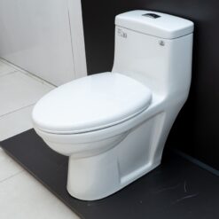 Bồn cầu 1 khối Viglacera BL5 nắp êm xả thẳng (+ vòi xịt VG826)