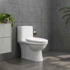 Bồn cầu 1 khối Viglacera BL5 nắp êm xả thẳng (+ vòi xịt VG826)