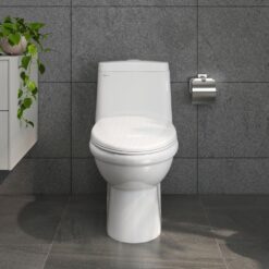 Bồn cầu 1 khối Viglacera BL5 nắp êm xả thẳng (+ vòi xịt VG826) 11 Bồn cầu 1 khối Viglacera BL5 nắp êm xả thẳng (+ vòi xịt VG826)