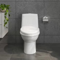 Bồn cầu 1 khối Viglacera BL5 nắp êm xả thẳng (+ vòi xịt VG826) 11 Bồn cầu 1 khối Viglacera BL5 nắp êm xả thẳng (+ vòi xịt VG826)