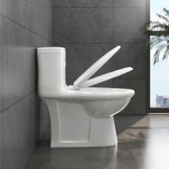 Bồn cầu 1 khối Viglacera BL5 nắp êm xả thẳng (+ vòi xịt VG826) 12 Bồn cầu 1 khối Viglacera BL5 nắp êm xả thẳng (+ vòi xịt VG826)