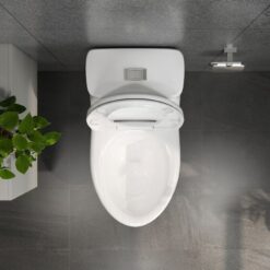 Bồn cầu 1 khối Viglacera BL5 nắp êm xả thẳng (+ vòi xịt VG826) 13 Bồn cầu 1 khối Viglacera BL5 nắp êm xả thẳng (+ vòi xịt VG826)