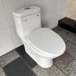 Bồn cầu 1 khối Viglacera BL5V nắp êm xả xoáy (+ vòi xịt VG826)