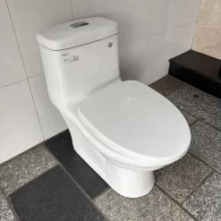 Bồn cầu 1 khối Viglacera BL5V nắp êm xả xoáy (+ vòi xịt VG826)