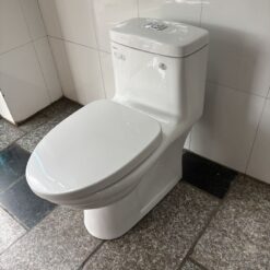 Bồn cầu 1 khối Viglacera BL5V nắp êm xả xoáy (+ vòi xịt VG826)