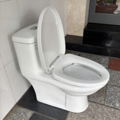 Bồn cầu 1 khối Viglacera BL5V nắp êm xả xoáy (+ vòi xịt VG826)