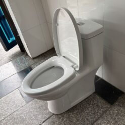 Bồn cầu 1 khối Viglacera BL5V nắp êm xả xoáy (+ vòi xịt VG826)