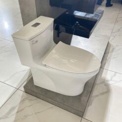 Bồn cầu 1 khối Viglacera HL2 nắp êm (+ vòi xịt VG826 & van VG853)