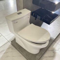 Bồn cầu 1 khối Viglacera HL2 nắp êm (+ vòi xịt VG826 & van VG853)