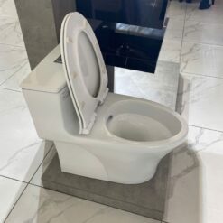 Bồn cầu 1 khối Viglacera HL2 nắp êm (+ vòi xịt VG826 & van VG853) 11 Bồn cầu 1 khối Viglacera HL2 nắp êm (+ vòi xịt VG826 & van VG853)