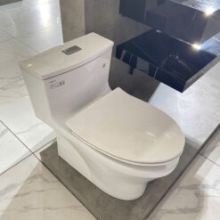 Bồn cầu 1 khối Viglacera HL2 nắp êm (+ vòi xịt VG826 & van VG853) 12 Bồn cầu 1 khối Viglacera HL2 nắp êm (+ vòi xịt VG826 & van VG853)