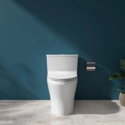 Bồn cầu 1 khối Viglacera HL2 nắp êm (+ vòi xịt VG826 & van VG853) 13 Bồn cầu 1 khối Viglacera HL2 nắp êm (+ vòi xịt VG826 & van VG853)