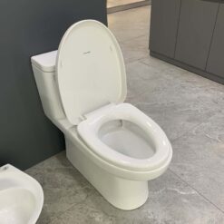 Bồn cầu 1 khối Viglacera Mekong (MK2) nắp êm (+ vòi xịt VG826)