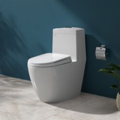 Bồn cầu 1 khối Viglacera V199 nắp êm (+ vòi xịt VG826 & van VG853)