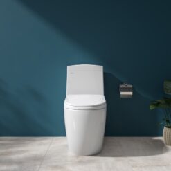 Bồn cầu 1 khối Viglacera V199 nắp êm (+ vòi xịt VG826 & van VG853)