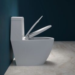 Bồn cầu 1 khối Viglacera V199 nắp êm (+ vòi xịt VG826 & van VG853)