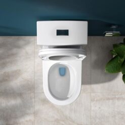 Bồn cầu 1 khối Viglacera V199 nắp êm (+ vòi xịt VG826 & van VG853)