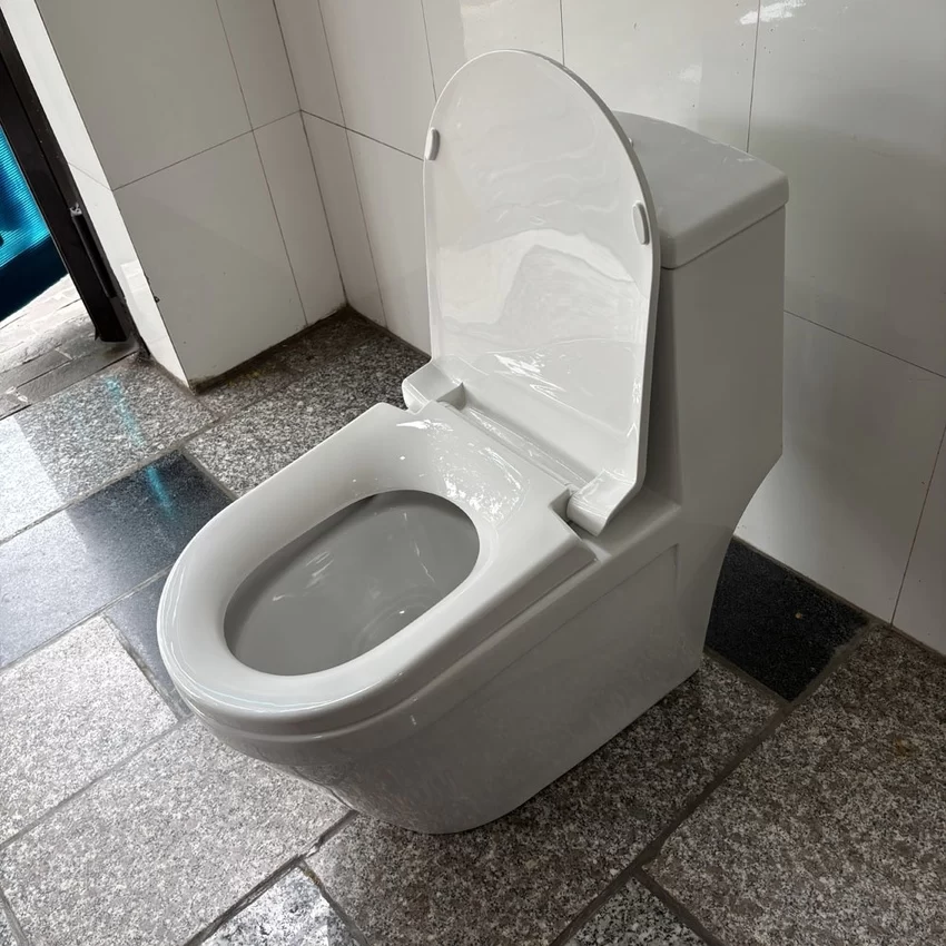 Ứng dụng thực tế - SKU: V35M Ứng dụng thực tế của bồn cầu Viglacera V35M