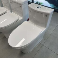 Bồn cầu 1 khối Viglacera V36 nắp êm (+ vòi xịt VG826)