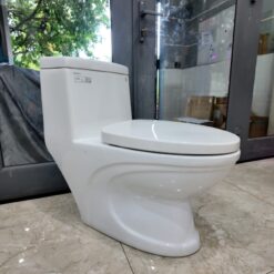 Bồn cầu 1 khối Viglacera V39 nắp êm xả thẳng (+ vòi xịt VG826)