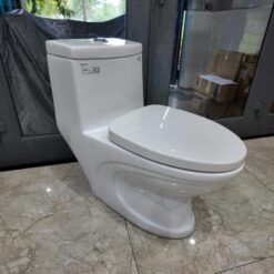 Bồn cầu 1 khối Viglacera V39 nắp êm xả thẳng (+ vòi xịt VG826)