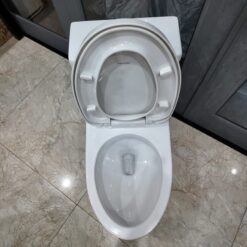 Bồn cầu 1 khối Viglacera V39 nắp êm xả thẳng (+ vòi xịt VG826)