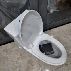 Bồn cầu 1 khối Viglacera V39 nắp êm xả thẳng (+ vòi xịt VG826)