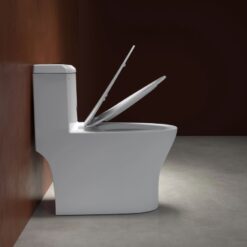 Bồn cầu 1 khối Viglacera V45M nắp êm xả xoáy (+ vòi xịt VG826 & van VG853)