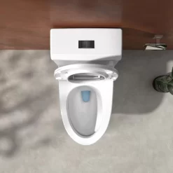 Bồn cầu 1 khối Viglacera V45M nắp êm xả xoáy (+ vòi xịt VG826 & van VG853) 11 Bồn cầu 1 khối Viglacera V45M nắp êm xả xoáy (+ vòi xịt VG826 & van VG853)