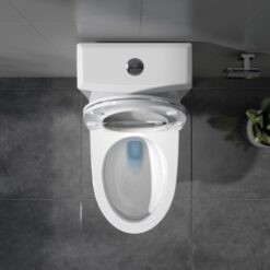 Bồn cầu 1 khối Viglacera V65 nắp êm (+ vòi xịt VG826 & van VG853)