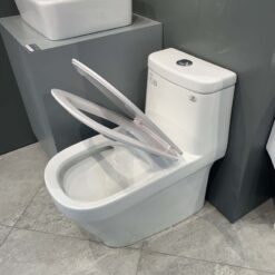 Bồn cầu 1 khối Viglacera V68 nắp êm (+ vòi xịt VG826 & van VG853)