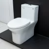 Bồn cầu 1 khối Viglacera V72-CAU nắp êm (+ vòi xịt VG826) 1 Bồn cầu 1 khối Viglacera V72-CAU nắp êm (+ vòi xịt VG826)