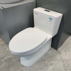 Bồn cầu 1 khối Viglacera V808 nắp êm (+ vòi xịt VG826 & van VG853)