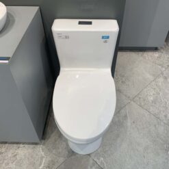 Bồn cầu 1 khối Viglacera V808 nắp êm (+ vòi xịt VG826 & van VG853)