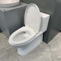 Bồn cầu 1 khối Viglacera V808 nắp êm (+ vòi xịt VG826 & van VG853)